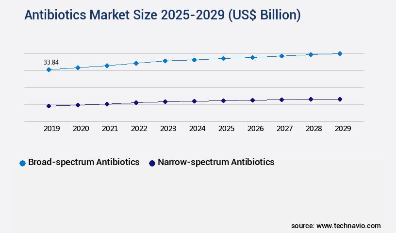 Antibiotics Market Size