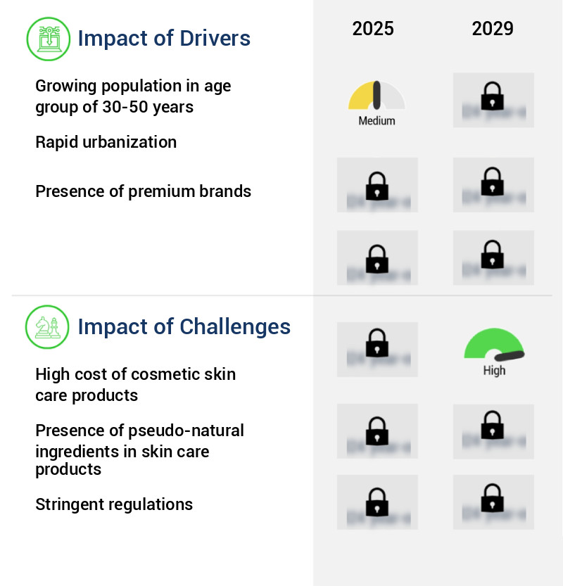 Cosmetic Skin Care Market Size
