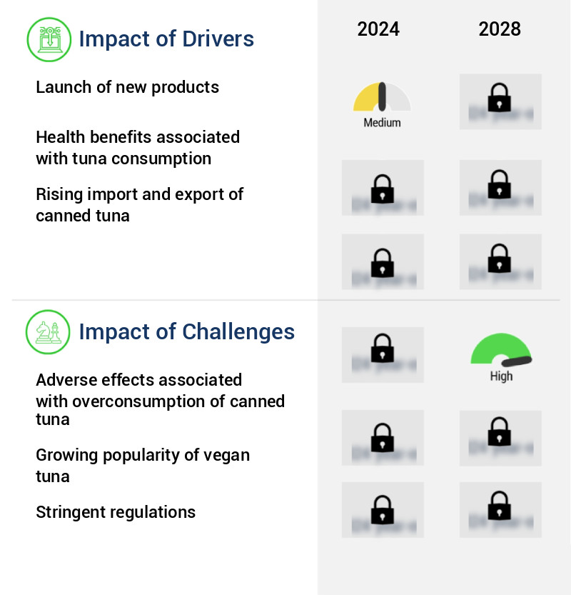 Canned Tuna Market Size