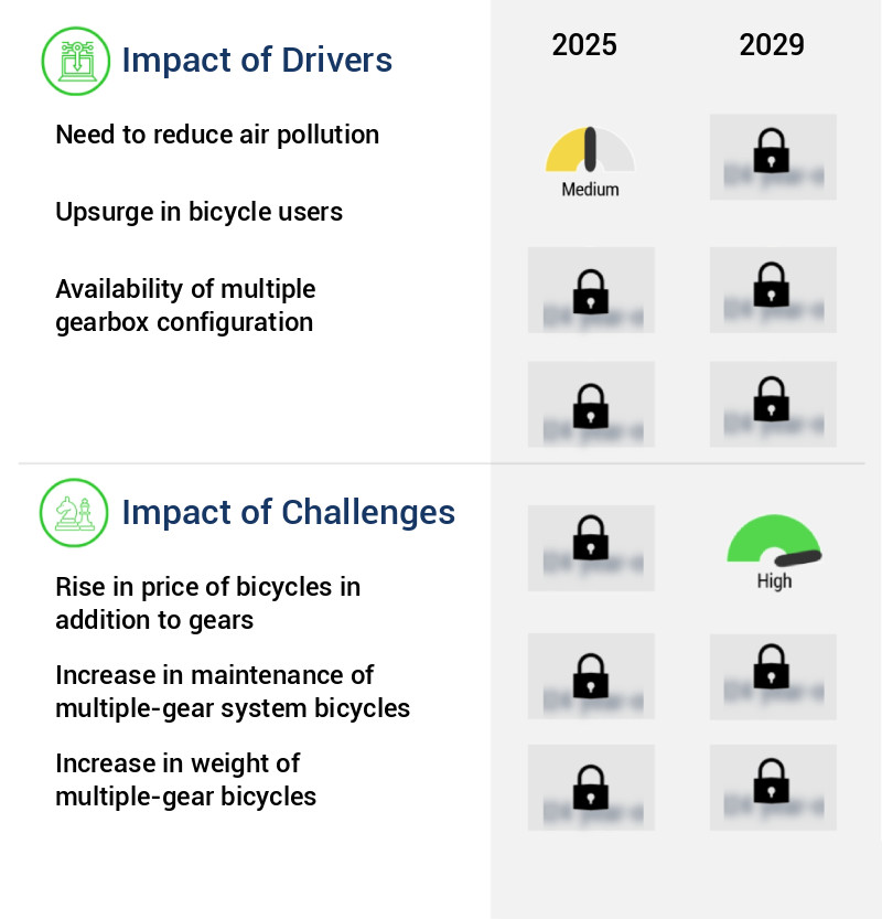 Bicycle Gearbox System Market Size