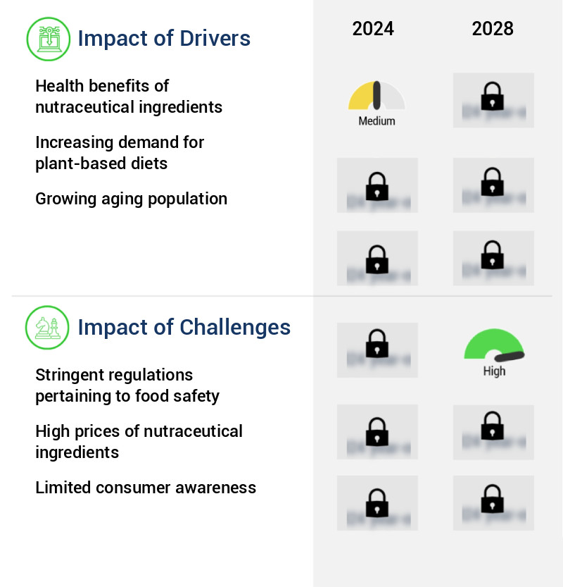 Nutraceutical Ingredients Market Size