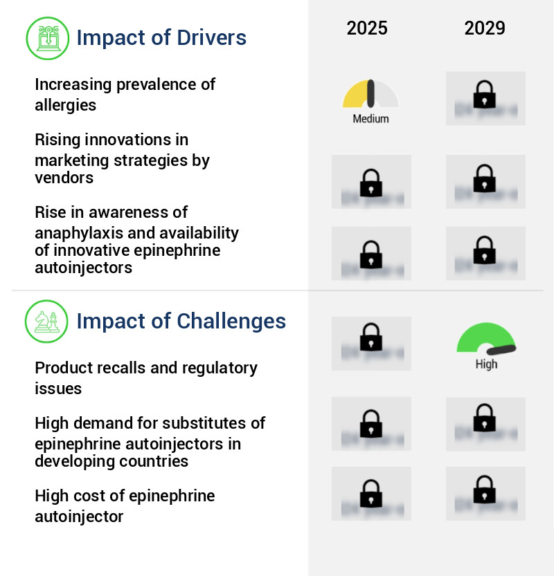 Epinephrine Autoinjector Market Size