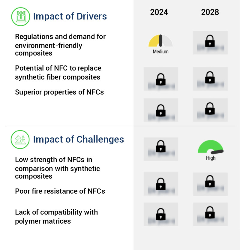 Natural Fiber Composites Market Size