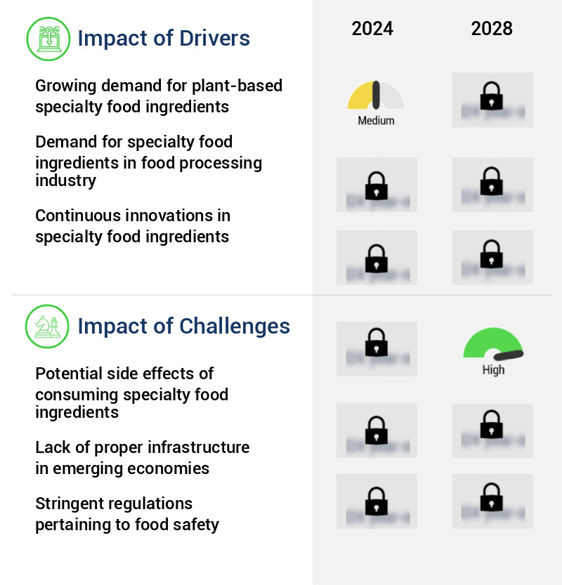 Specialty Food Ingredients Market Size