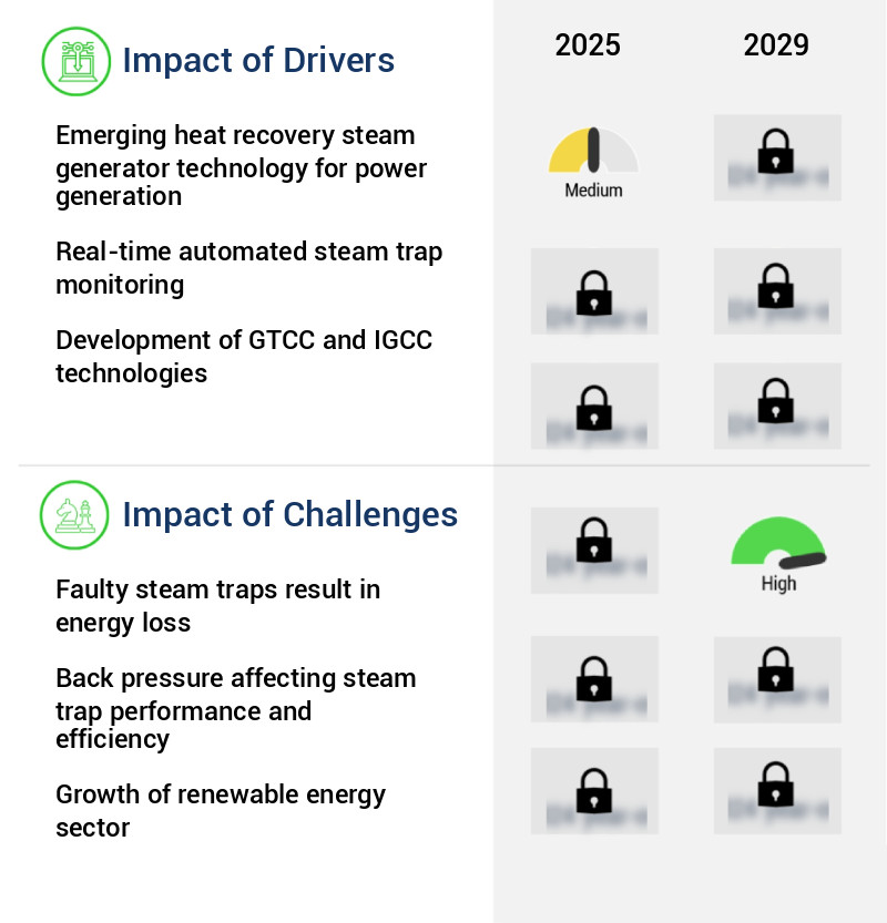 Steam Traps Market Size