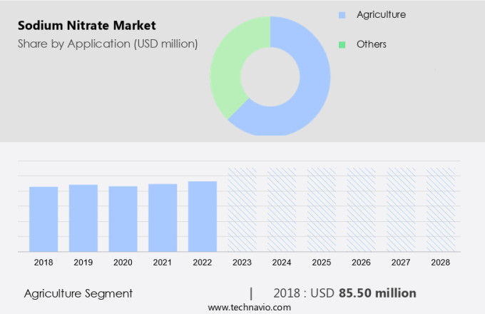 Sodium Nitrate Market Size