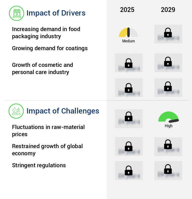 Ethylene Acrylic Acid Copolymer Market Size