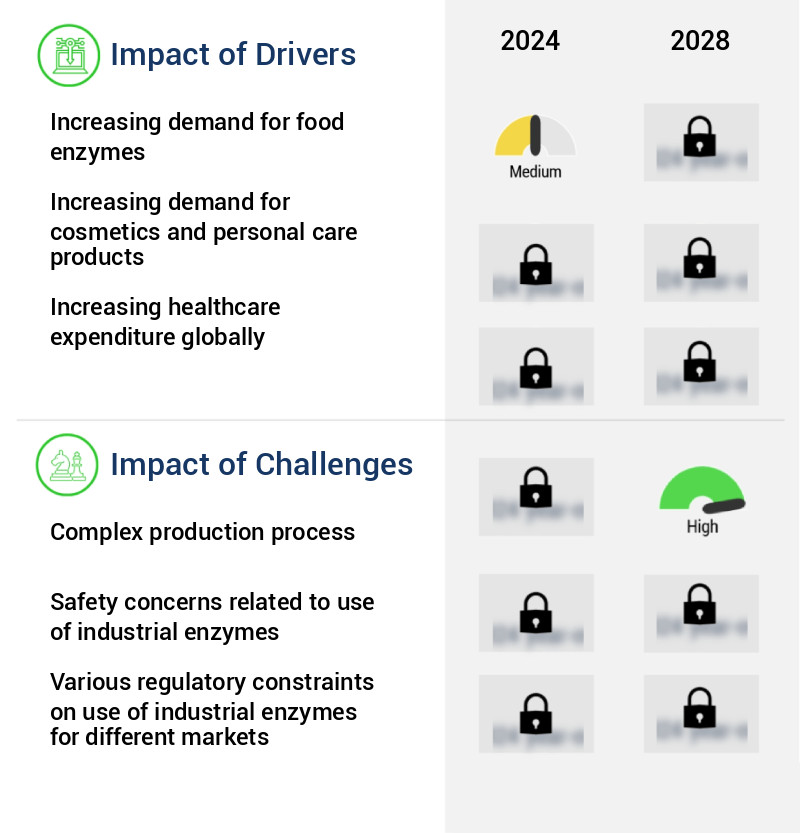 Industrial Enzymes Market Size