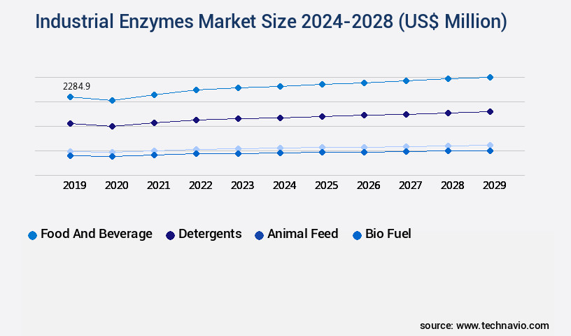 Industrial Enzymes Market Size