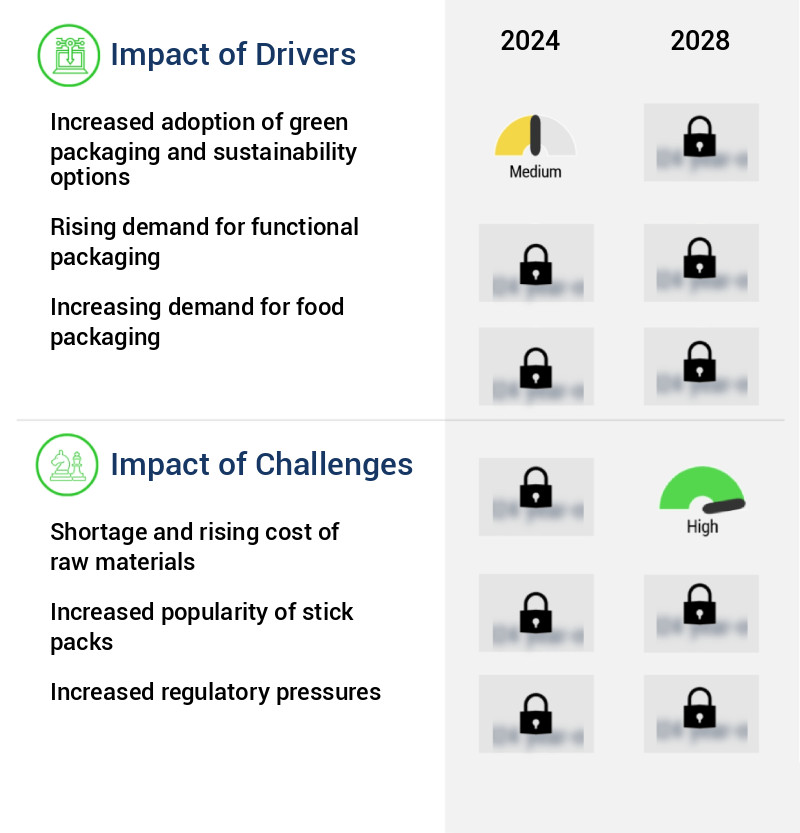 Sachet Packaging Market Size