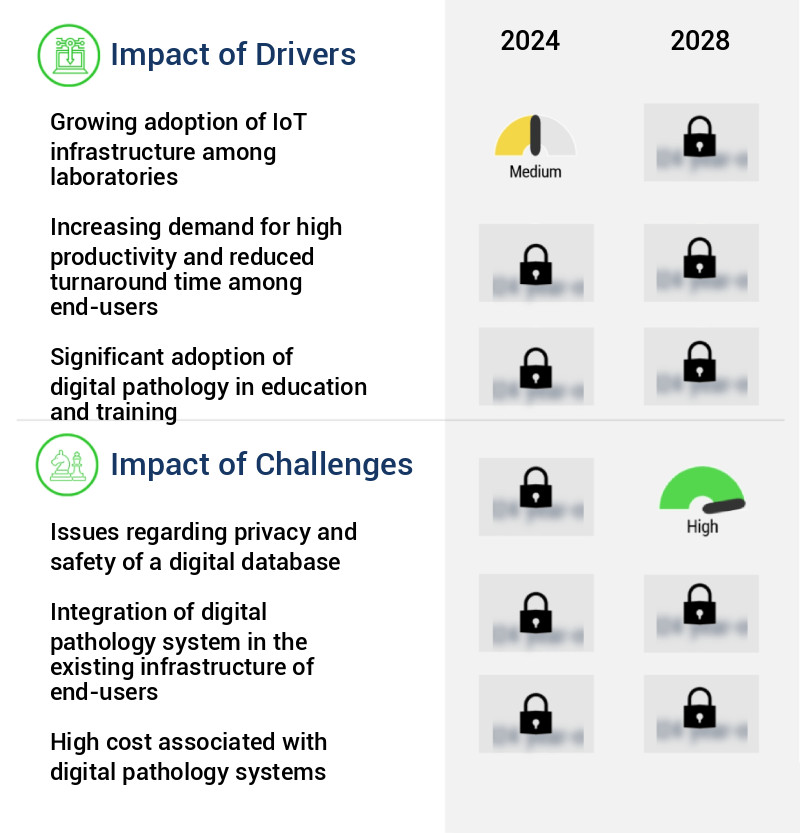 Digital Pathology Market Size