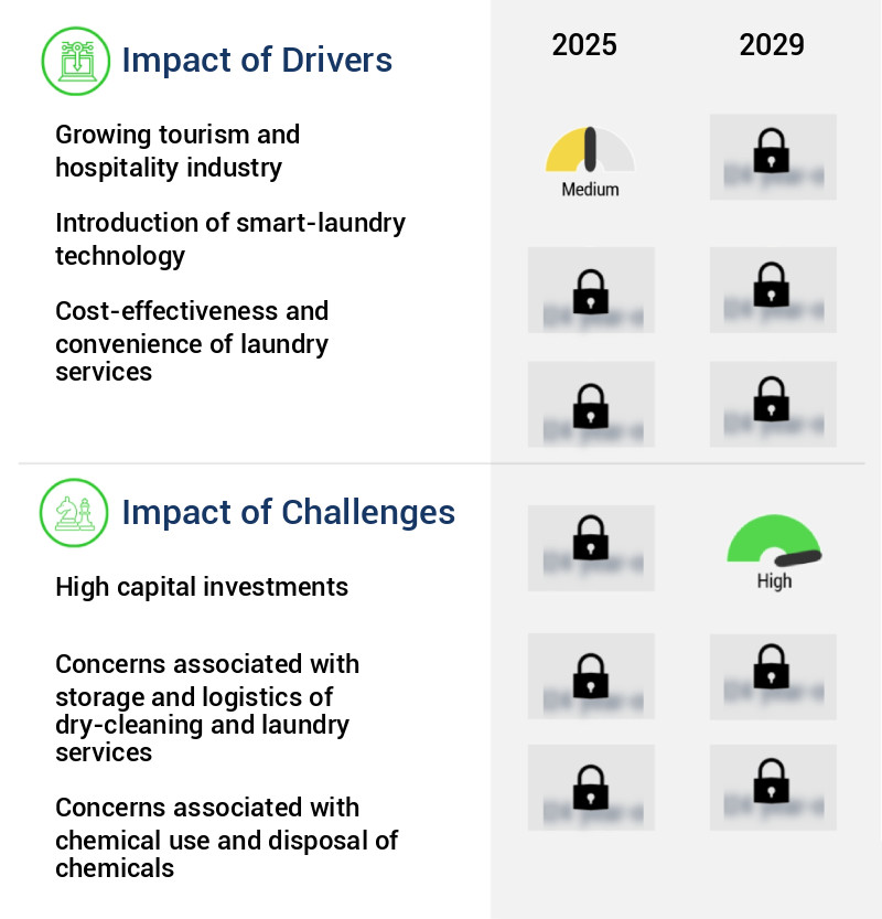 Dry-Cleaning And Laundry Services Market Size