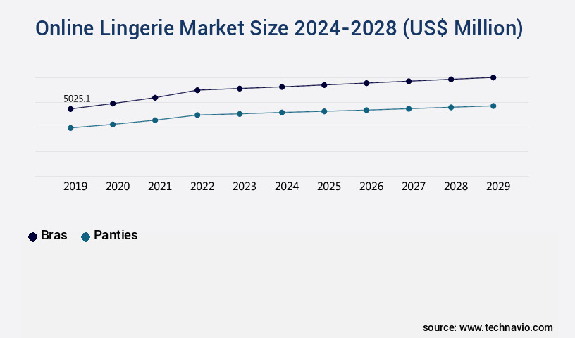 Online Lingerie Market Size