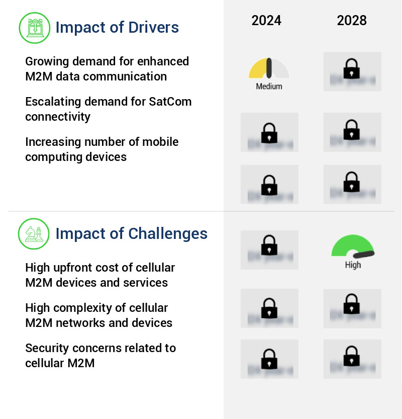Cellular M2M Value-Added Services (Vas) Market Size