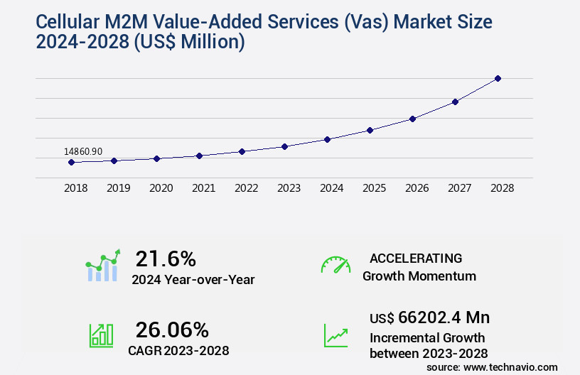 Cellular M2M Value-Added Services (Vas) Market Size