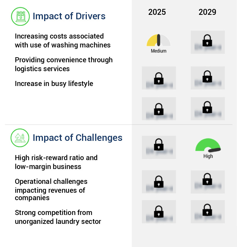 Online On-Demand Laundry Service Market Size