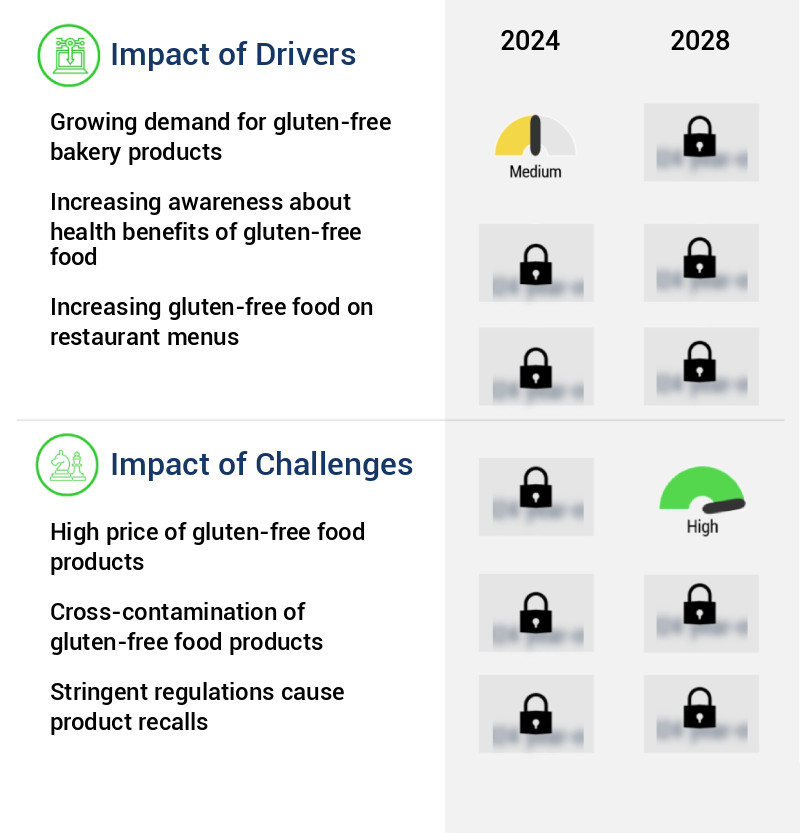 Gluten-free Food Market Size