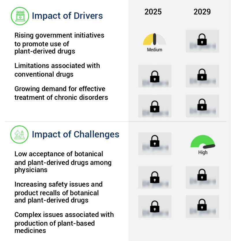 Botanical And Plant-Derived Drugs Market Size