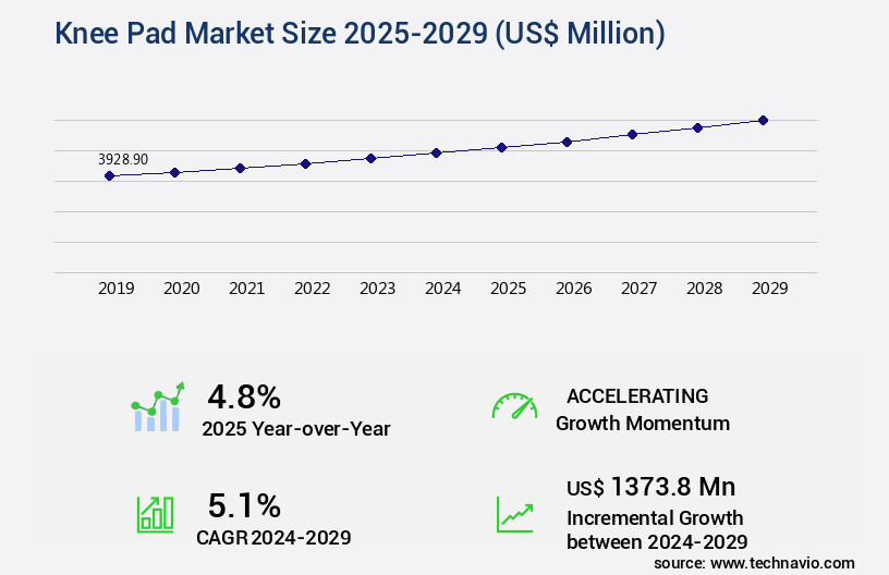 Knee Pad Market Size