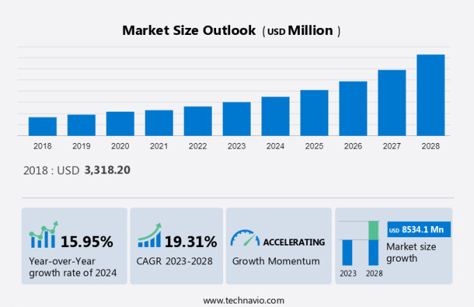 Programming Language Training Market Size