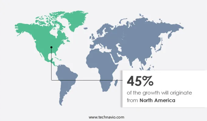 E-Book Market Share by Geography