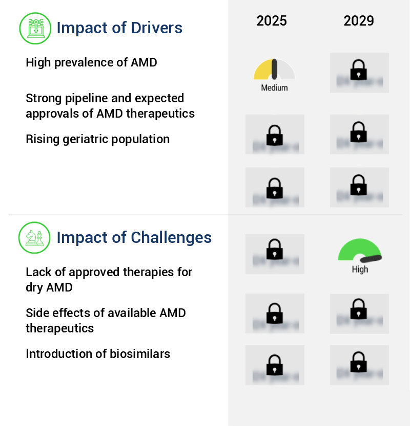Age-Related Macular Degeneration Market Size