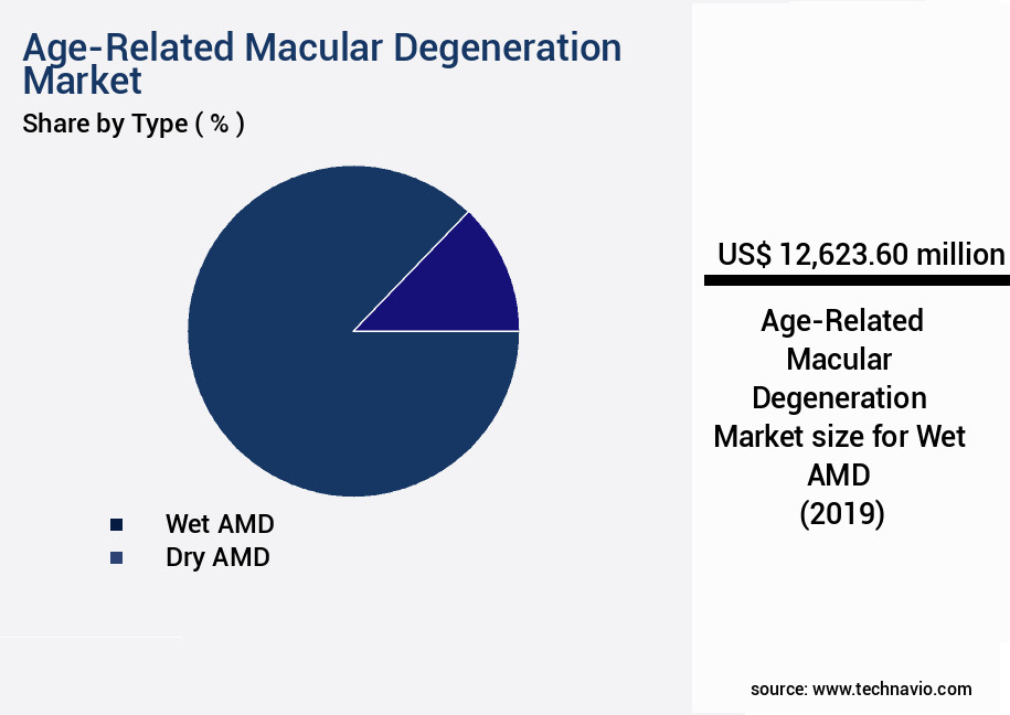 Age-Related Macular Degeneration Market Size