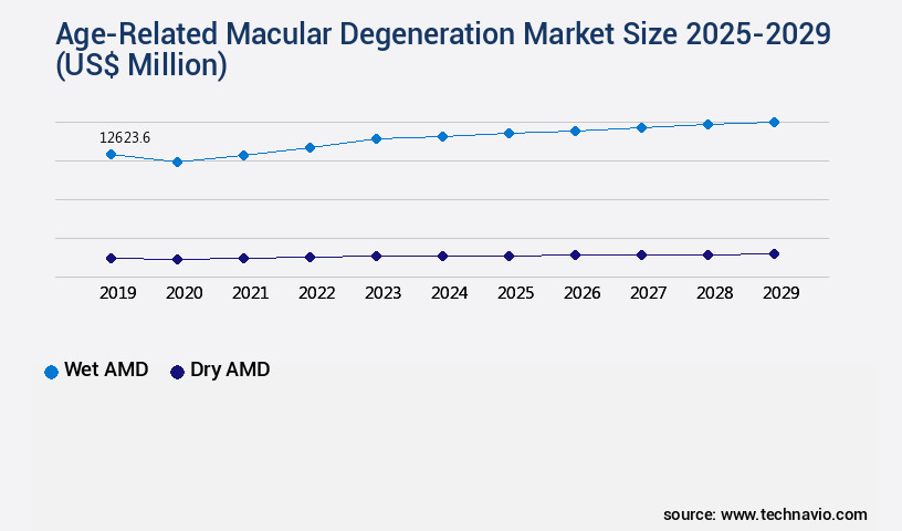 Age-Related Macular Degeneration Market Size