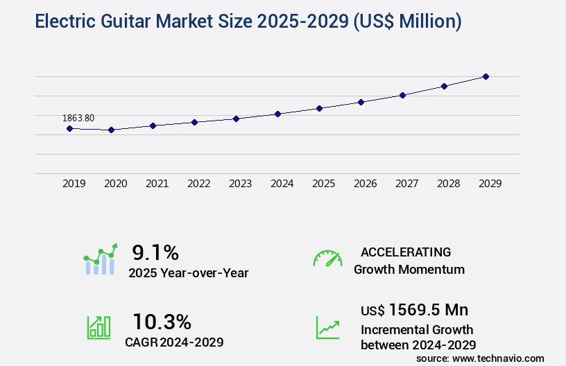 Electric Guitar Market Size