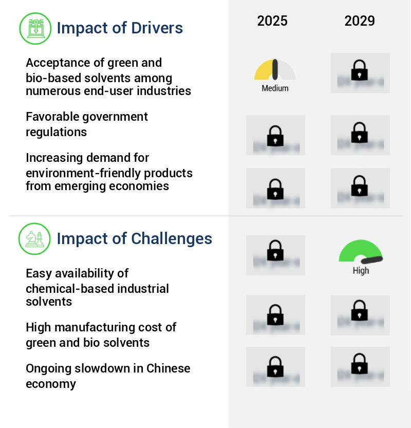 Green And Bio Solvent Market Size