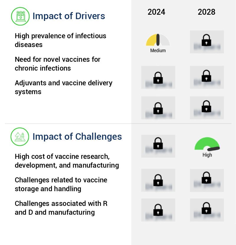 Vaccine Research Market Size