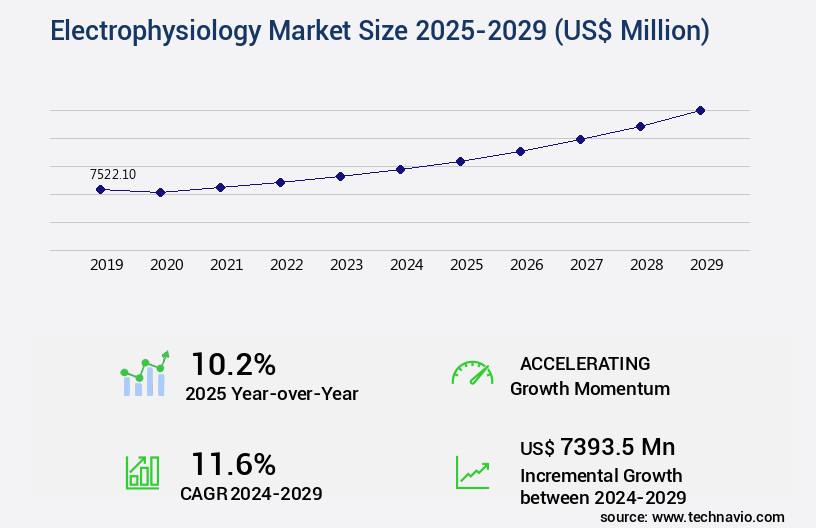 Electrophysiology Market Size