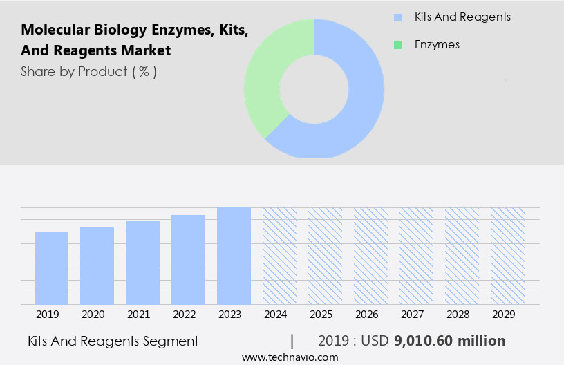 Molecular Biology Enzymes, Kits, And Reagents Market Size
