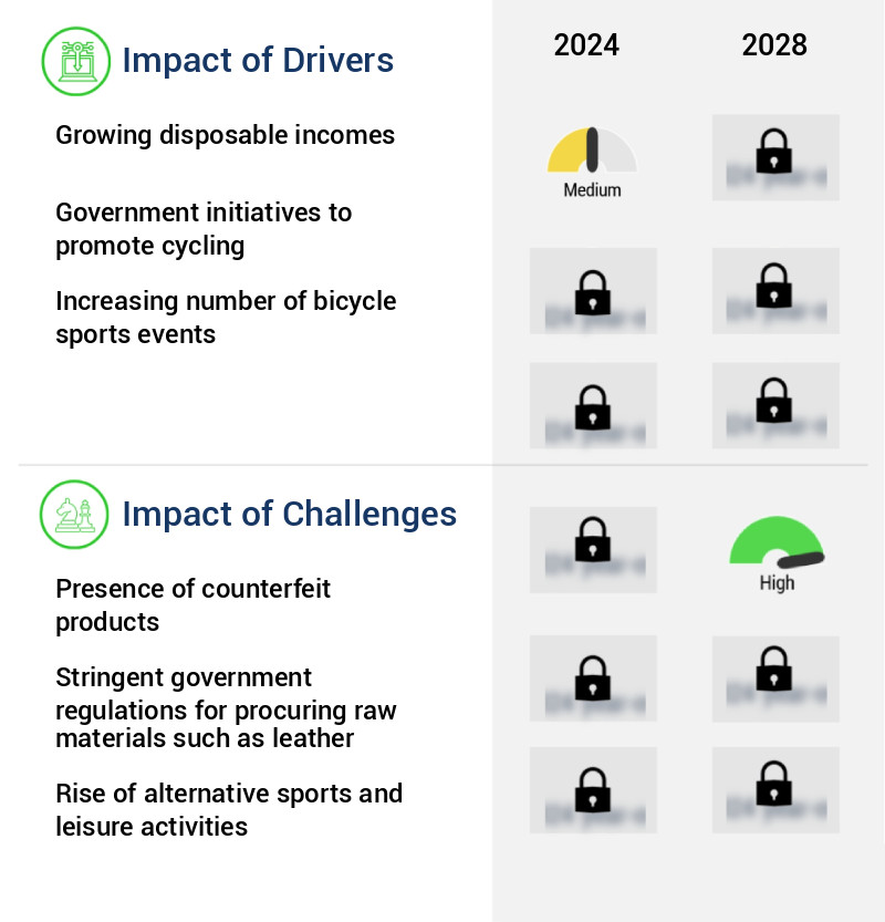 Bicycle Bags Market Size