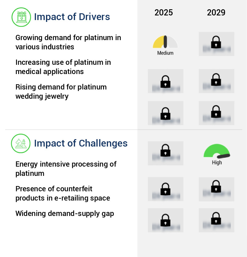 Platinum Market Size