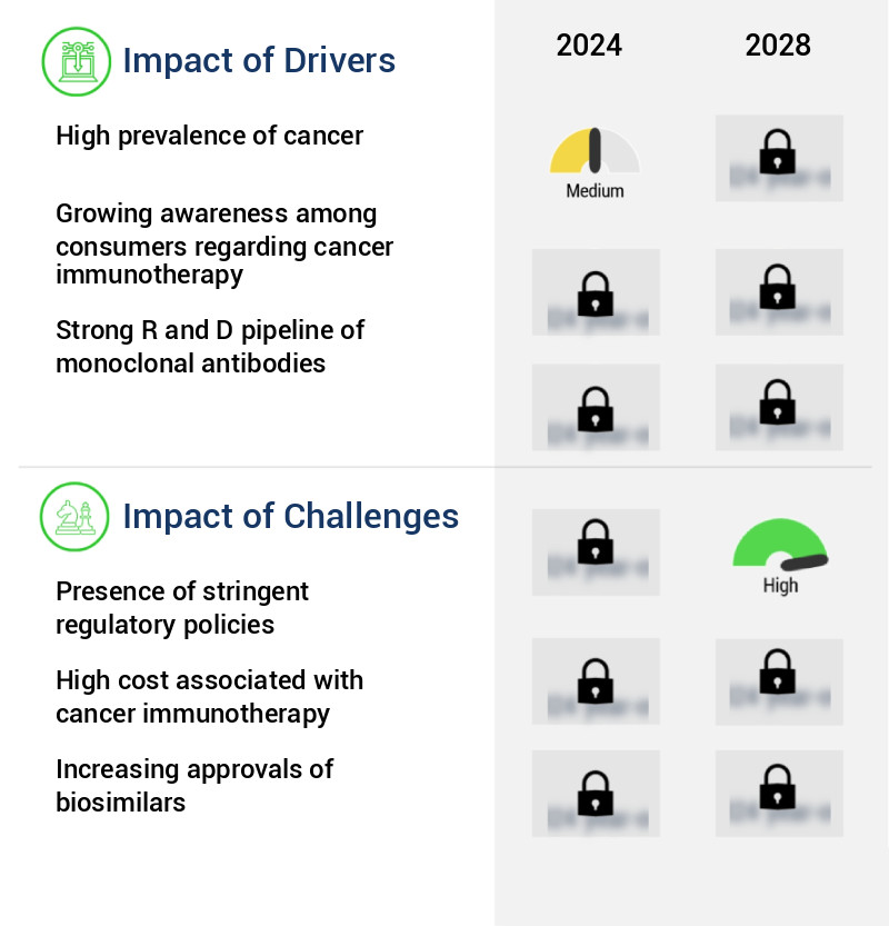 Cancer Immunotherapy Market Size