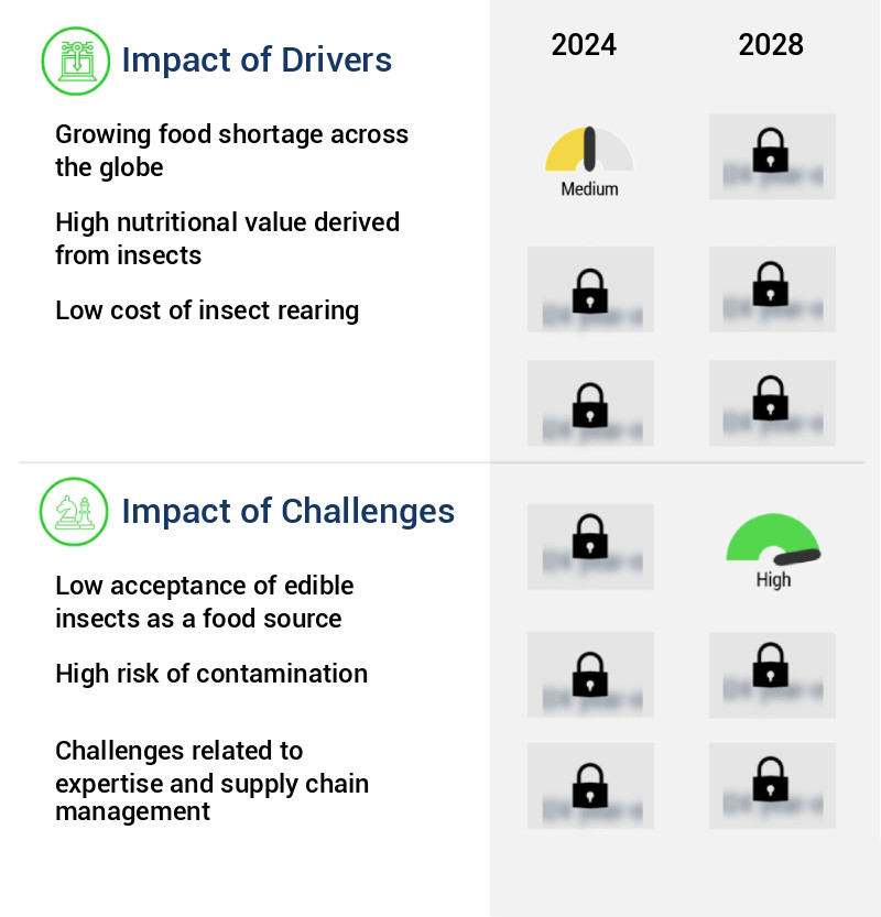 Edible Insects Market Size
