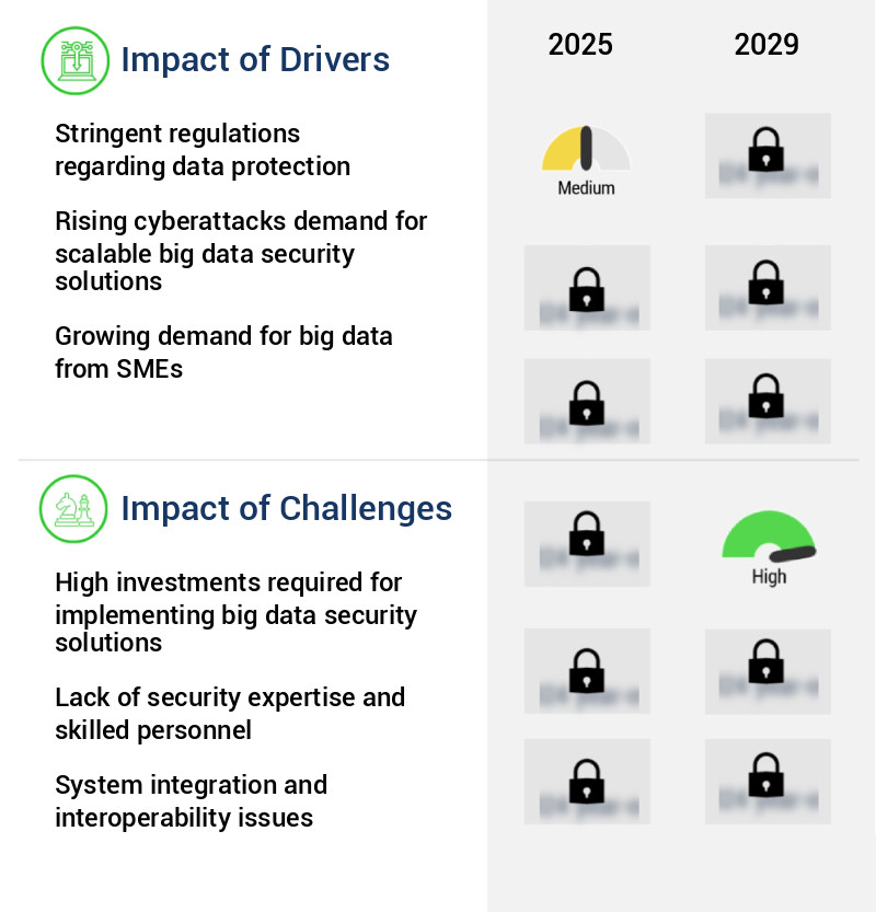 Big Data Security Market Size