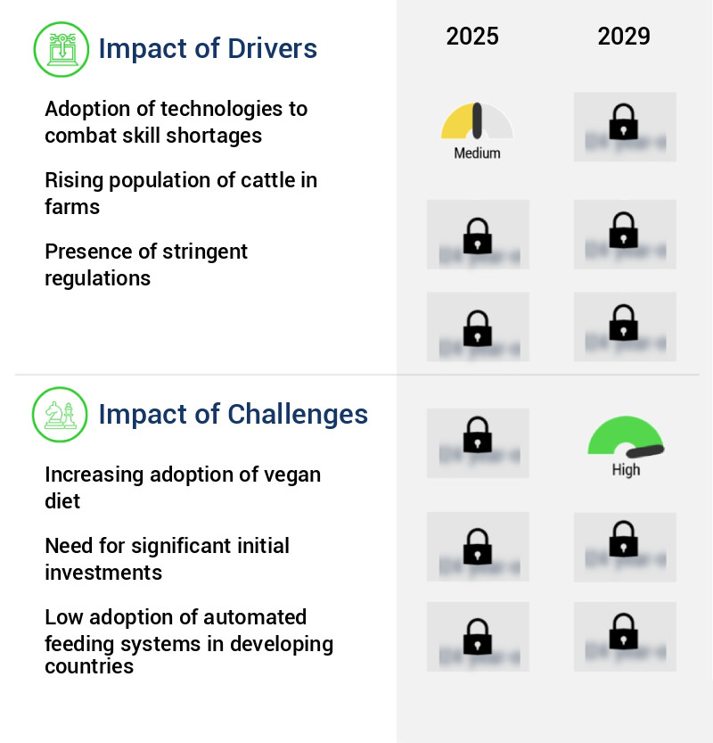 Automated Feeding Systems Market Size