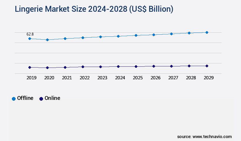 Lingerie Market Size