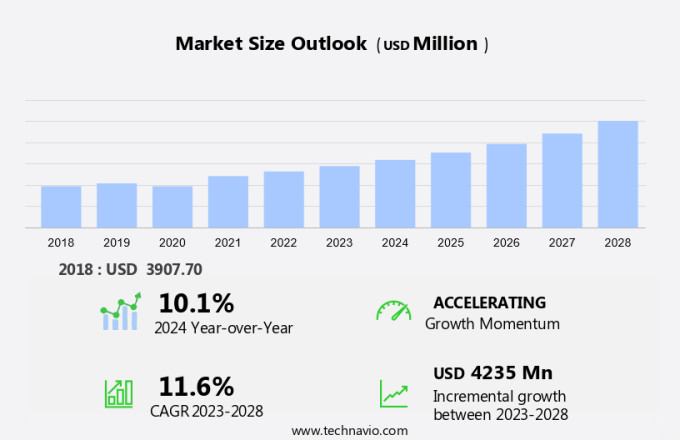 Wheat Gluten Market Size