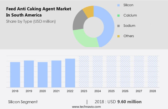 Feed Anti Caking Agent Market in South America Size