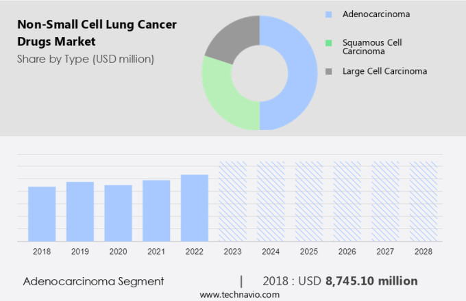 Non-Small Cell Lung Cancer Drugs Market Size