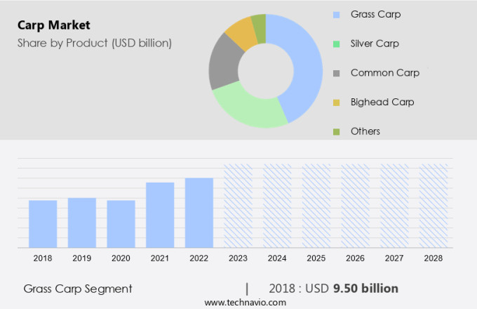 Carp Market Size