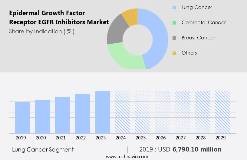 Epidermal Growth Factor Receptor (EGFR) Inhibitors Market Size