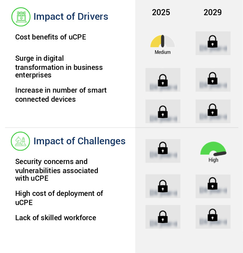Universal CPE (UCPE) Market Size