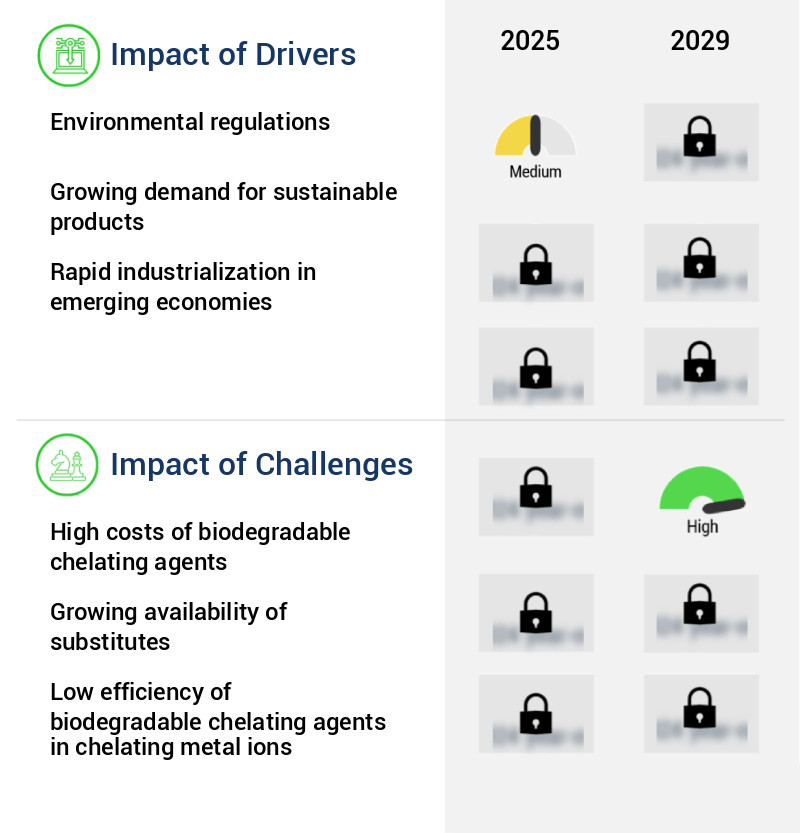 Biodegradable Chelating Agents Market Size