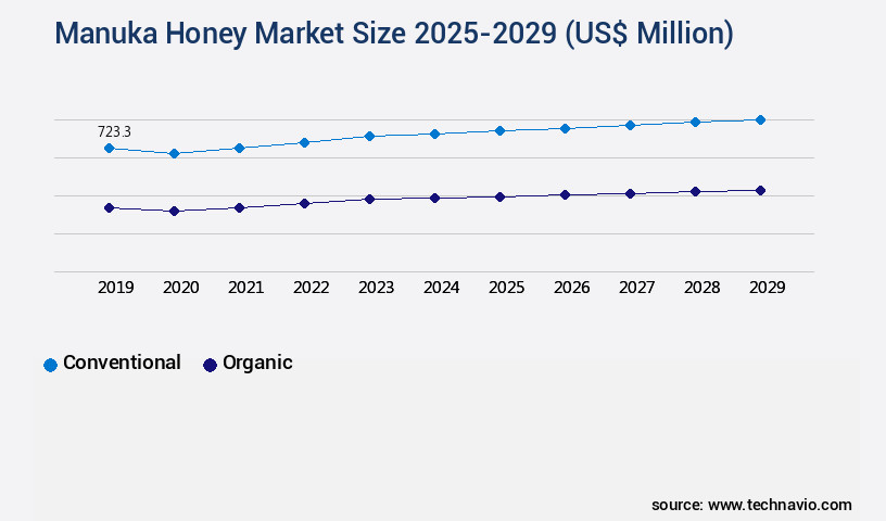 Manuka Honey Market Size