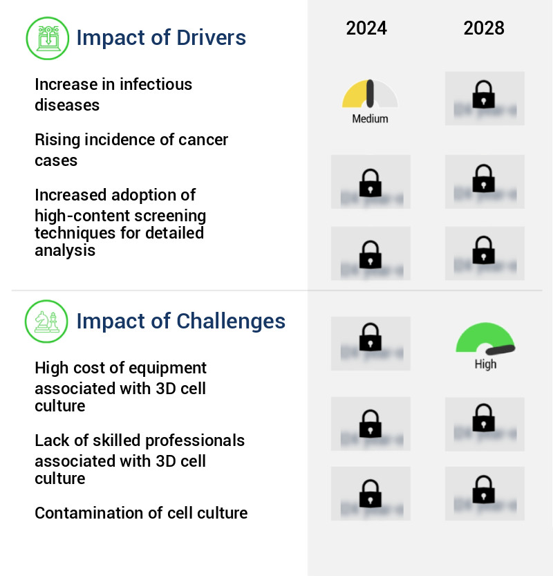 3D Cell Culture Market Size