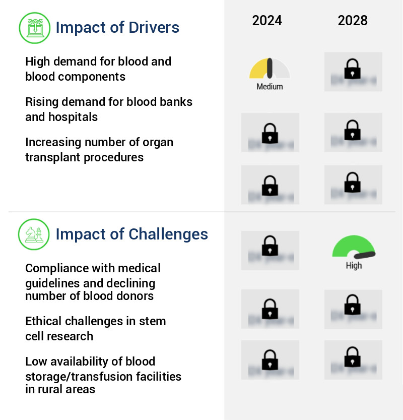 Rfid Blood Refrigerator And Freezer Market Size